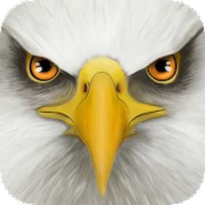 Скачать Ultimate Bird Simulator (Взлом Разблокировано все) версия Зависит от устройства на Андроид