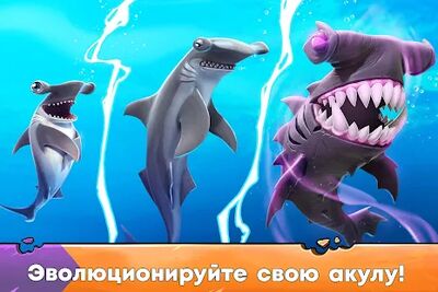 Скачать Hungry Shark Evolution (Взлом Много монет) версия Зависит от устройства на Андроид