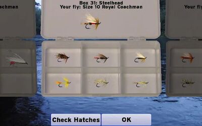Скачать Fly Fishing Simulator (Взлом Разблокировано все) версия Зависит от устройства на Андроид