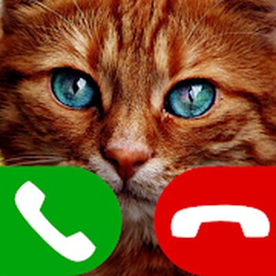 Скачать звонок поддельный кот игра (Взлом Разблокировано все) версия 6.0 на Андроид