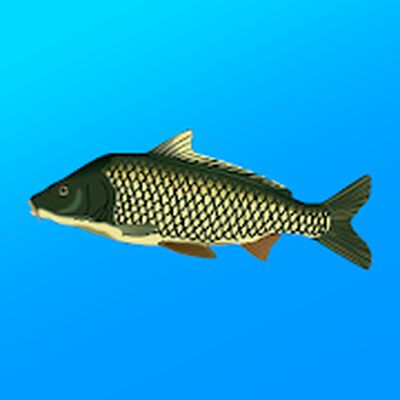 Скачать Реальная Рыбалка. Симулятор рыбной ловли (Взлом Много монет) версия 1.15.0.700 на Андроид