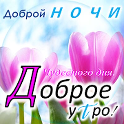 Скачать Доброе утро, Добрый день, Доброй ночи (Полный доступ) версия 5.5.1 на Андроид