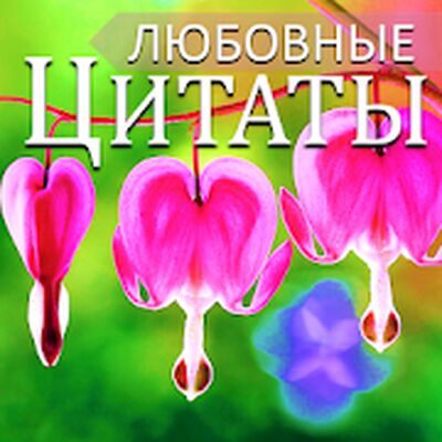 Скачать Русские любовные сообщения и любовные цитаты (Полный доступ) версия 4.18.03.0 на Андроид