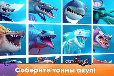 Скачать Hungry Shark Evolution (Взлом Много монет) версия Зависит от устройства на Андроид