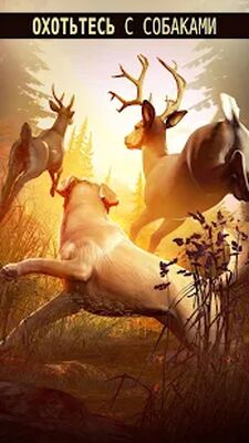 Скачать Deer Hunter 2018 (Взлом Много монет) версия 5.2.4 на Андроид