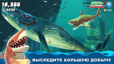 Скачать Hungry Shark World (Взлом Много денег) версия 4.5.0 на Андроид