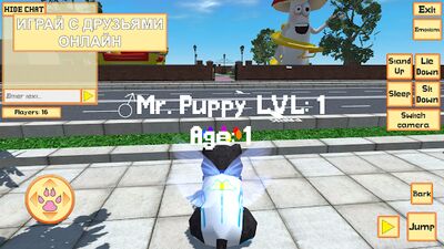 Скачать Cute Pocket Puppy 3D - Part 2 (Взлом Много денег) версия 1.0.8.4 на Андроид