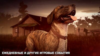 Скачать Into the Dead 2 (Взлом Много монет) версия 1.49.0 на Андроид