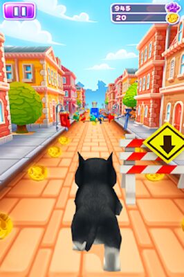 Скачать Pet Run - Puppy Dog Game (Взлом Много денег) версия 1.7.4 на Андроид