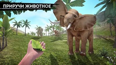 Скачать Survivor Adventure: Выживание на острове (Взлом Разблокировано все) версия 1.03.260 на Андроид