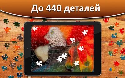 Скачать Онлайн Игра Пазлы для Взрослых Бесплатно Puzzle (Взлом Много монет) версия 1.4.8 на Андроид