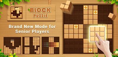 Скачать Wood Block Puzzle блочная игра (Взлом Много монет) версия 2.4.7 на Андроид