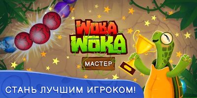 Скачать Woka Woka Шарики Головоломка - Marble Shoot Puzzle (Взлом Разблокировано все) версия 2.069.12 на Андроид