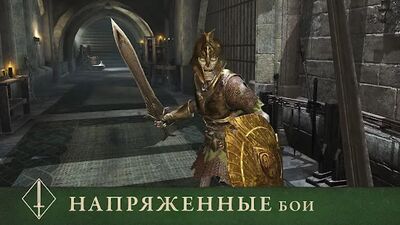 Скачать The Elder Scrolls: Blades (Взлом Разблокировано все) версия 1.17.0.1717027 на Андроид