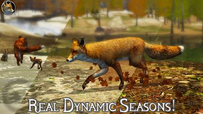 Скачать Ultimate Fox Simulator 2 (Взлом Много монет) версия 1.2 на Андроид