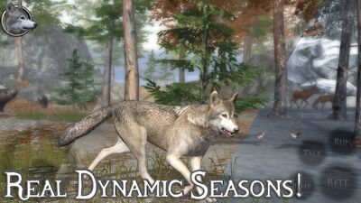 Скачать Ultimate Wolf Simulator 2 (Взлом Много денег) версия 1.5 на Андроид