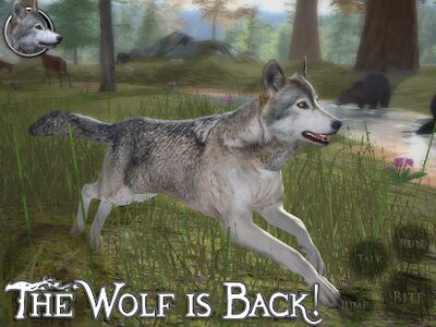 Скачать Ultimate Wolf Simulator 2 (Взлом Много денег) версия 1.5 на Андроид