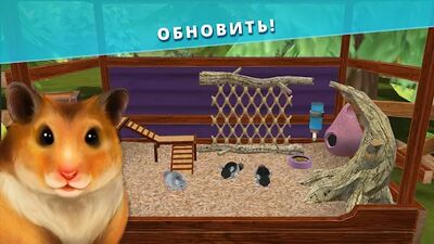 Скачать Pet Hotel  (Взлом Много монет) версия 1.4.6 на Андроид