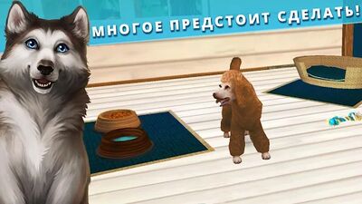 Скачать Pet Hotel  (Взлом Много монет) версия 1.4.6 на Андроид