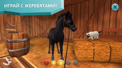 Скачать Star Stable Horses (Взлом Много денег) версия 2.84.1 на Андроид