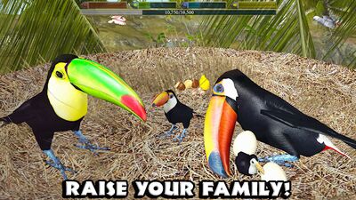 Скачать Ultimate Bird Simulator (Взлом Разблокировано все) версия Зависит от устройства на Андроид