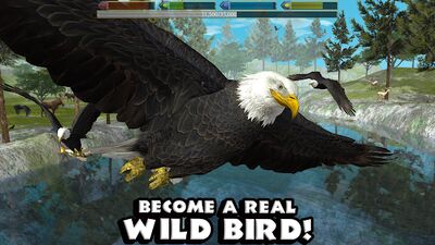 Скачать Ultimate Bird Simulator (Взлом Разблокировано все) версия Зависит от устройства на Андроид