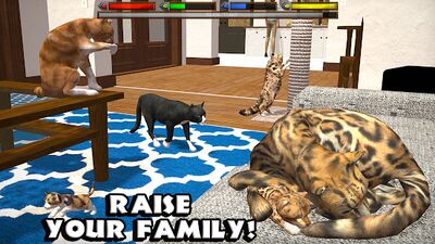 Скачать Ultimate Cat Simulator (Взлом Много монет) версия Зависит от устройства на Андроид