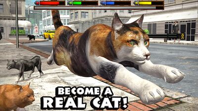 Скачать Ultimate Cat Simulator (Взлом Много монет) версия Зависит от устройства на Андроид