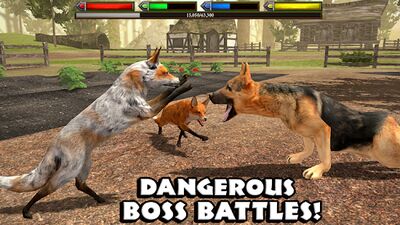 Скачать Ultimate Fox Simulator (Взлом Много денег) версия Зависит от устройства на Андроид