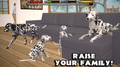 Скачать Ultimate Dog Simulator (Взлом Много денег) версия 1.2 на Андроид