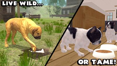 Скачать Ultimate Dog Simulator (Взлом Много денег) версия 1.2 на Андроид