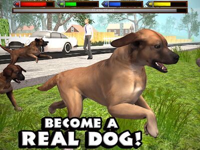 Скачать Ultimate Dog Simulator (Взлом Много денег) версия 1.2 на Андроид