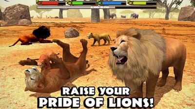 Скачать Ultimate Lion Simulator (Взлом Разблокировано все) версия Зависит от устройства на Андроид