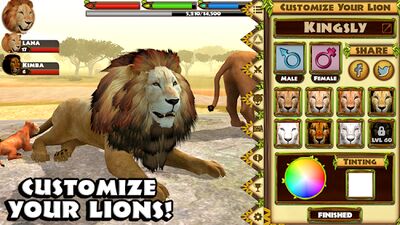 Скачать Ultimate Lion Simulator (Взлом Разблокировано все) версия Зависит от устройства на Андроид