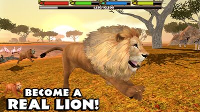 Скачать Ultimate Lion Simulator (Взлом Разблокировано все) версия Зависит от устройства на Андроид