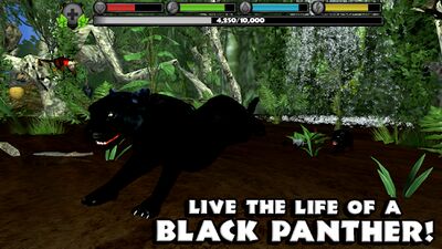 Скачать Panther Simulator (Взлом Много монет) версия Зависит от устройства на Андроид