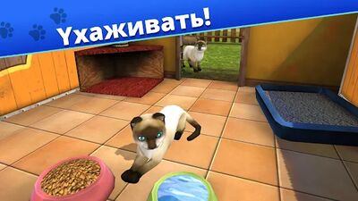 Скачать Pet World - приют для животных (Взлом Много денег) версия 5.6.10 на Андроид