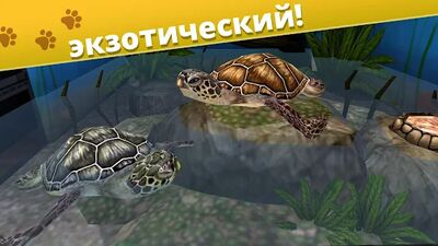 Скачать Pet World - приют для животных (Взлом Много денег) версия 5.6.10 на Андроид