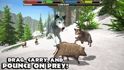 Скачать Ultimate Wolf Simulator (Взлом Много монет) версия Зависит от устройства на Андроид