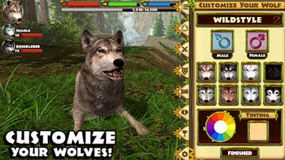 Скачать Ultimate Wolf Simulator (Взлом Много монет) версия Зависит от устройства на Андроид