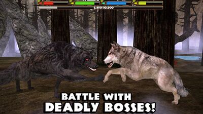 Скачать Ultimate Wolf Simulator (Взлом Много монет) версия Зависит от устройства на Андроид