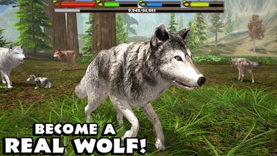 Скачать Ultimate Wolf Simulator (Взлом Много монет) версия Зависит от устройства на Андроид