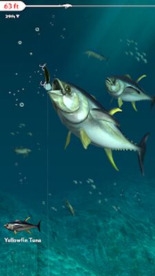 Скачать Rapala Fishing - Daily Catch (Взлом Разблокировано все) версия 1.6.24 на Андроид