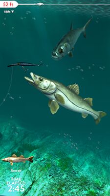 Скачать Rapala Fishing - Daily Catch (Взлом Разблокировано все) версия 1.6.24 на Андроид