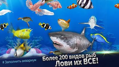 Скачать Fishing Rivals : Hook & Catch (Взлом Разблокировано все) версия 1.2.3 на Андроид