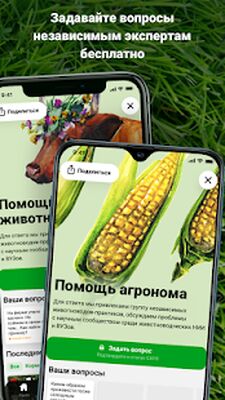 Скачать Direct.Farm - агро сообщество (Неограниченные функции) версия 2.3.62 на Андроид