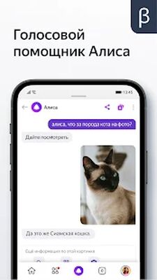 Скачать Яндекс (бета) (Без кеша) версия 21.111 на Андроид