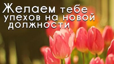 Скачать Русские ежедневные пожелания (Без Рекламы) версия 4.18.03.0 на Андроид