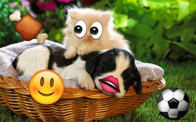 Скачать Emoji Photo Sticker Maker Pro (Полная) версия 3.0.1 на Андроид